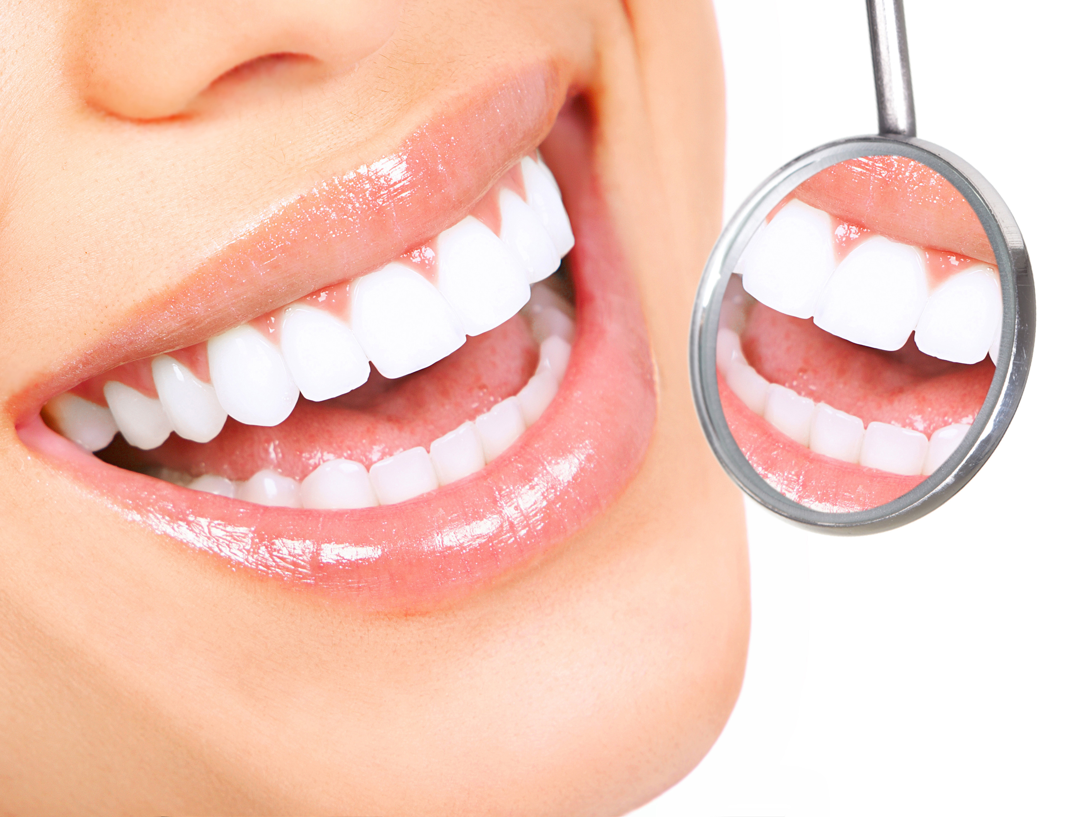 teeth