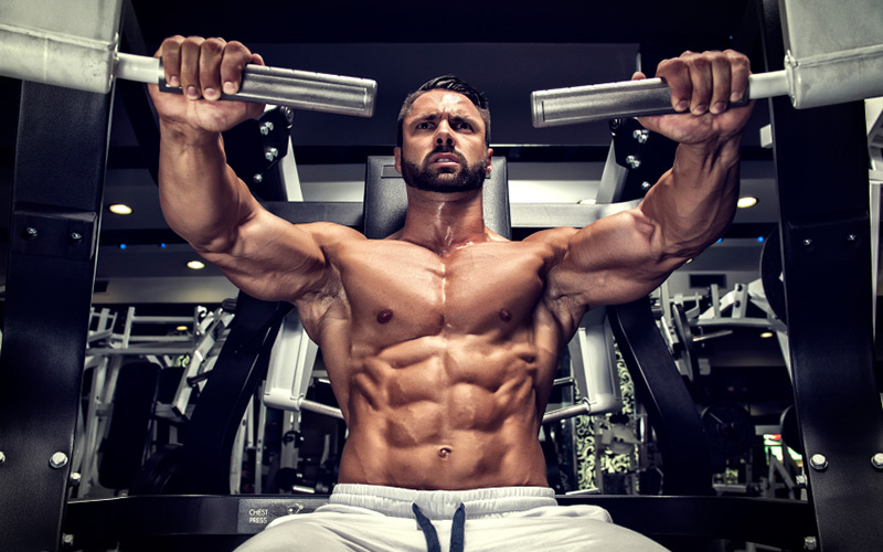 muscle building