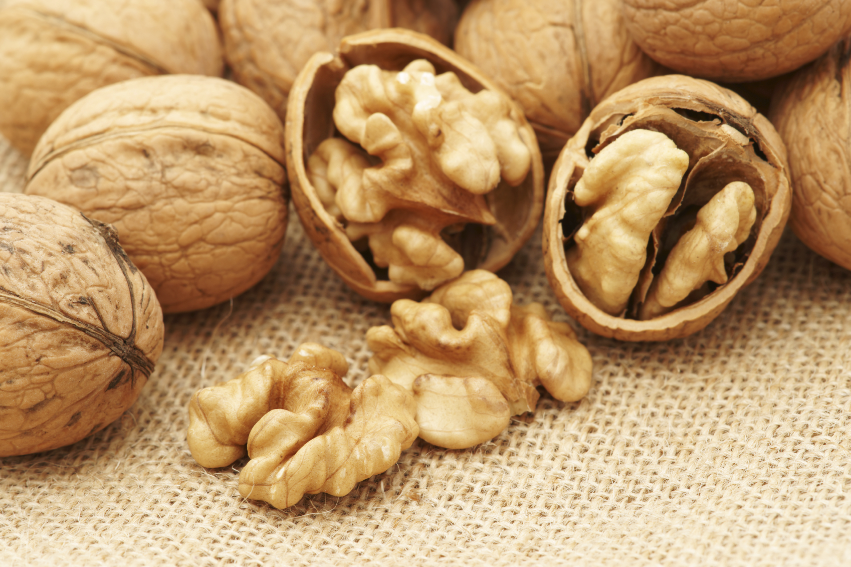 walnut