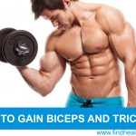 gain biceps