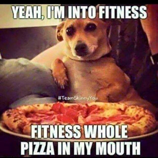 A dog is sitting in front of a pizza A dog is sitting in front of a pizza - food memes