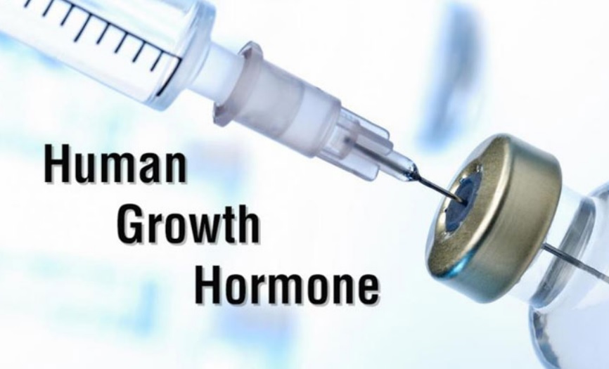 human growth hormone