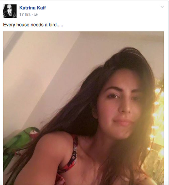 Katrina Kaif No MakeUp Photos