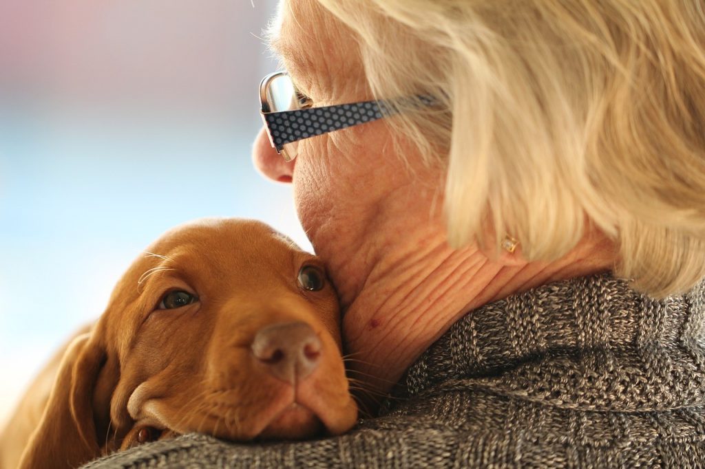 emotional support dog