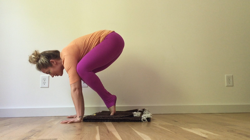 Step 3 Core Prep for Crow Pose