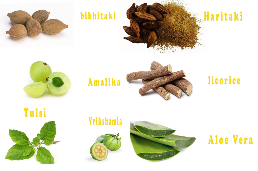 10 Ayurvedic Supplements For Weight Loss Find Health Tips