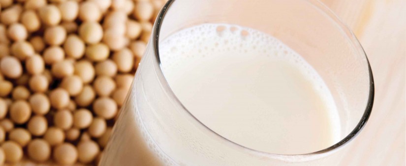 soy free milk