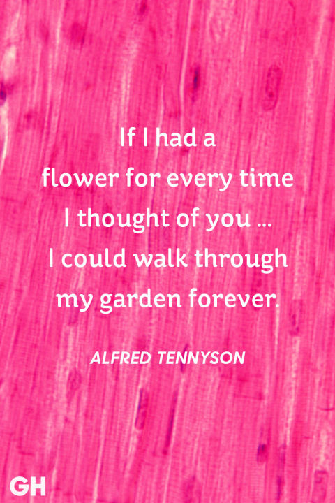 valentine's day celebration quotes