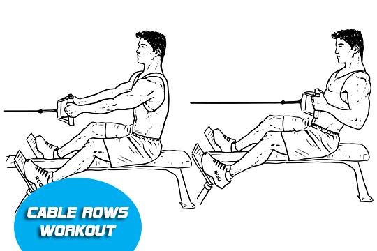 cable row full body workout