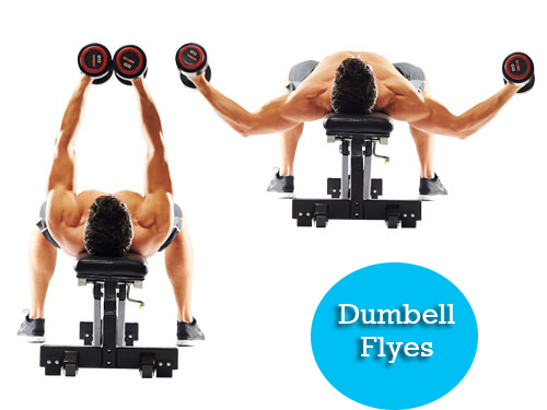 dumbbell flyes full body workout