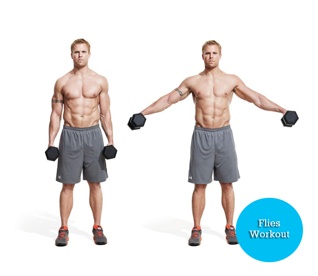 flies workout Full Body Workout