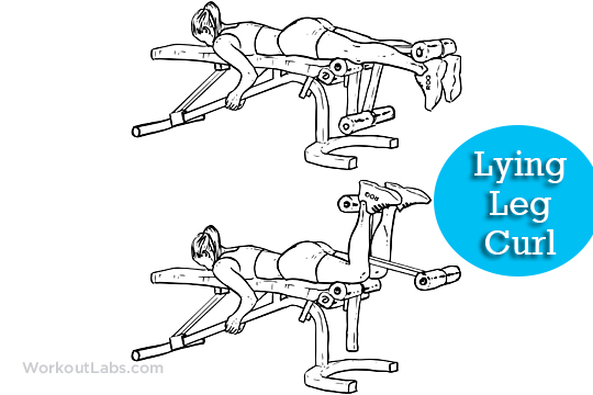 lying leg curls full body workout