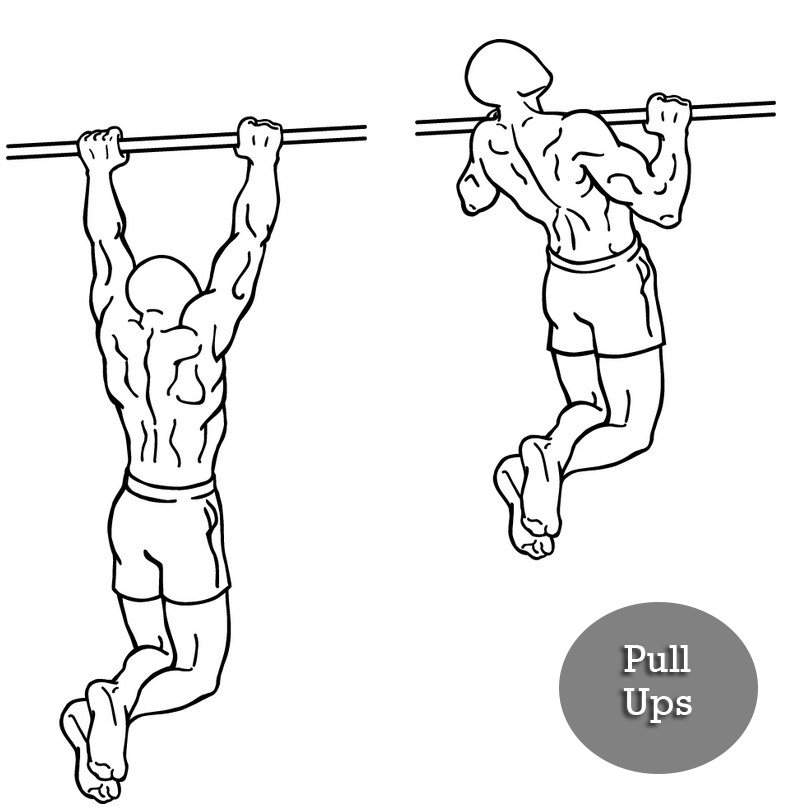 pull ups full body workout