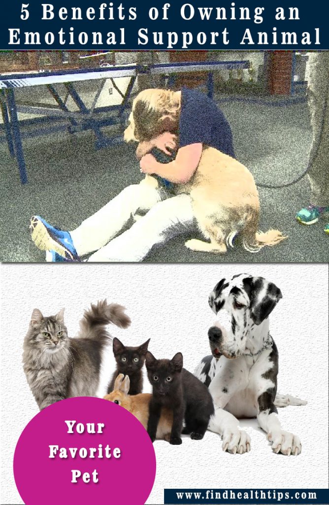 animal emotional support