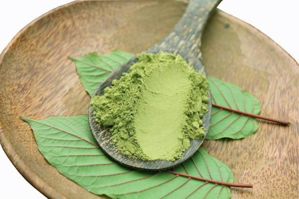 The Science Behind Kratom’s Leaves