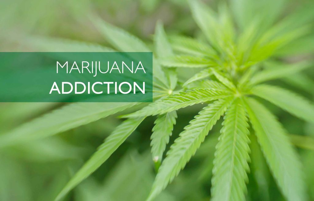 marijuana addiction