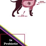 Probiotic useful for both humans and dogs