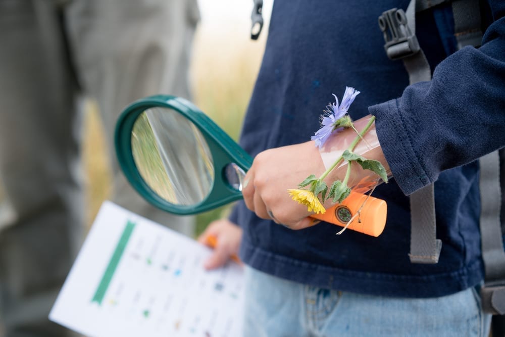 Exciting Things to Do with Your Kids This Fall