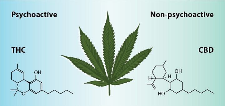 CBD and THC