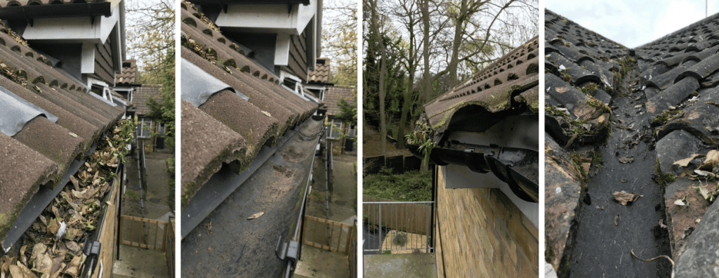 professional gutter cleaners