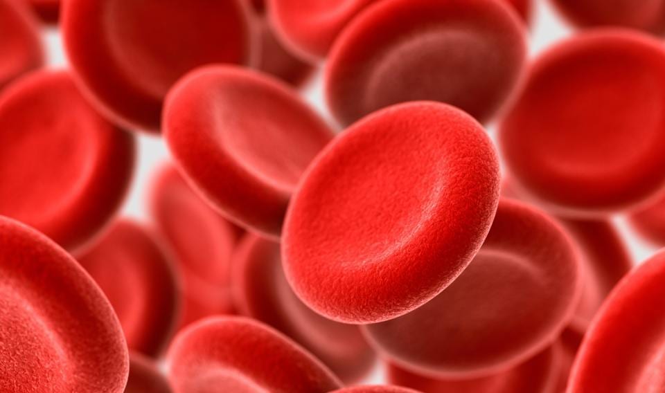 red blood cells