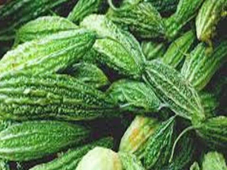 List Of Best Indian Vegetables For Weight Loss Find Health Tips