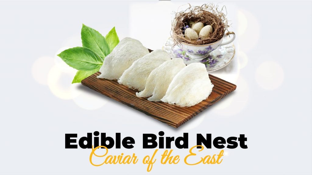 edible bird nest