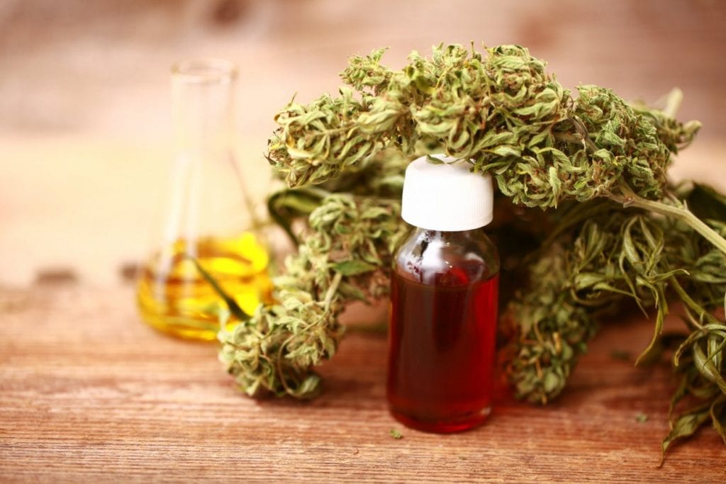 CBD and Its Health Benefits On The Body