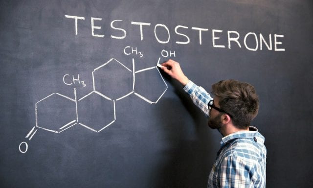 Introduction to Testosterone