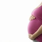 maternity insurance