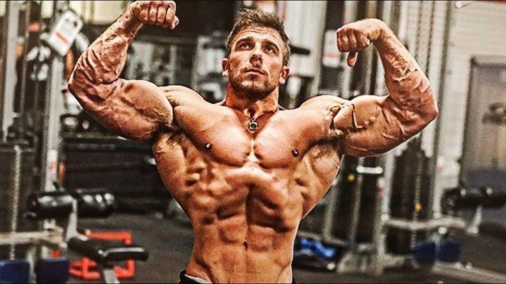 Bulky Bodybuilders