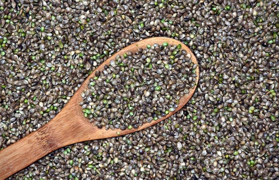 hemp seeds benefits