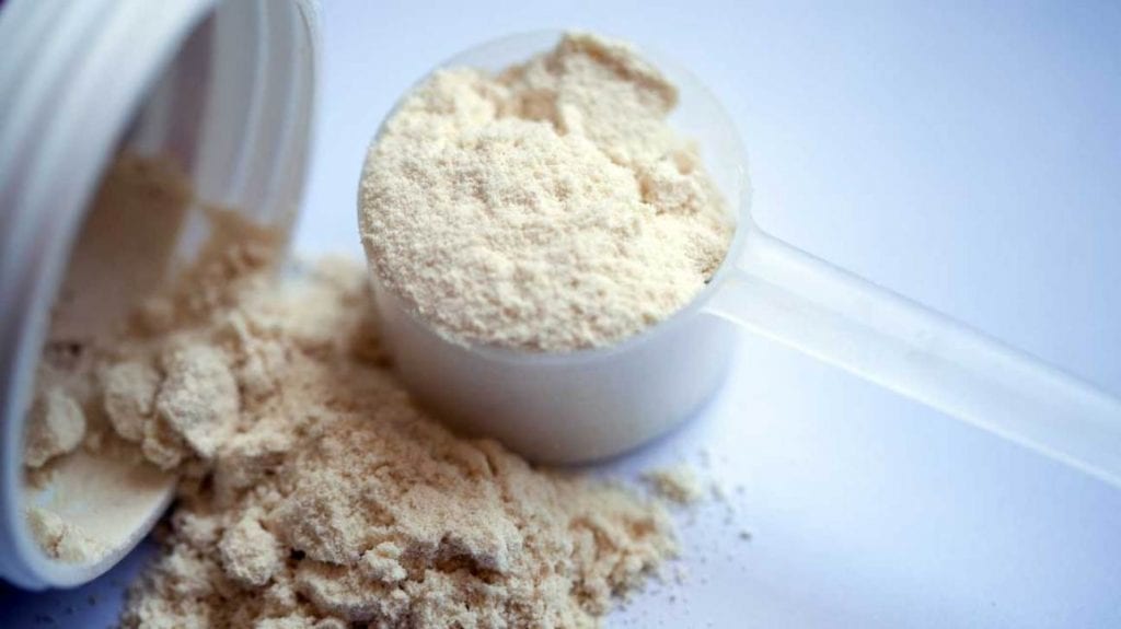 Protein Powder Benefits