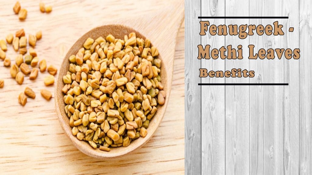 How To Use Methi Leaves (Fenugreek) For Skin, Hair & Health? - Find Health  Tips