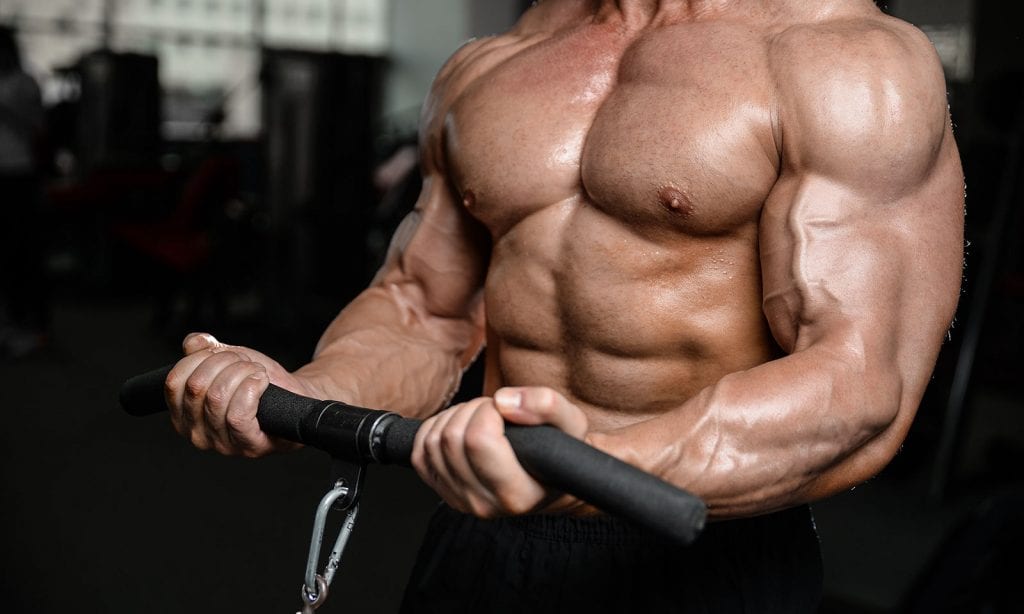 Olympic Bodybuilding & Fitness : 2019 Pan American Games