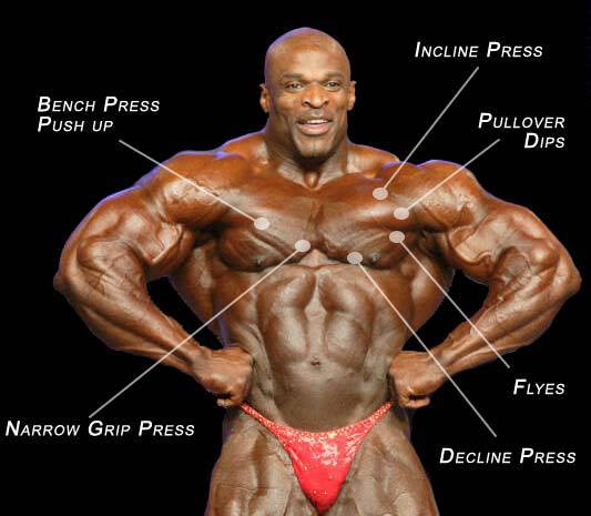 Ronnie Coleman Young