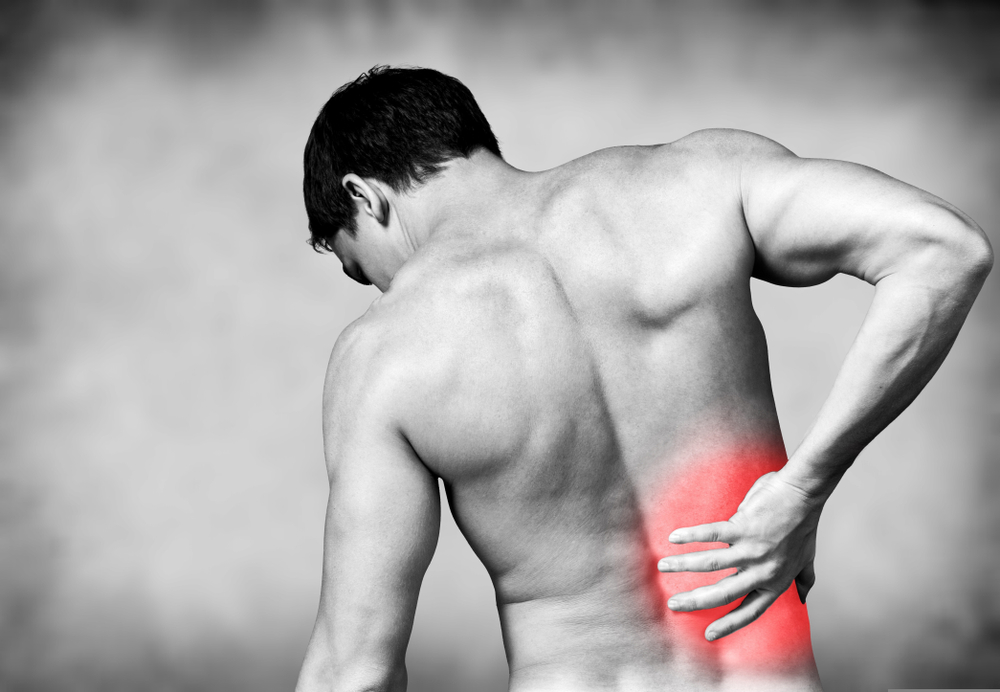 Optimal Back Support