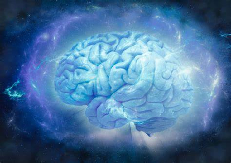 Nootropics Brain