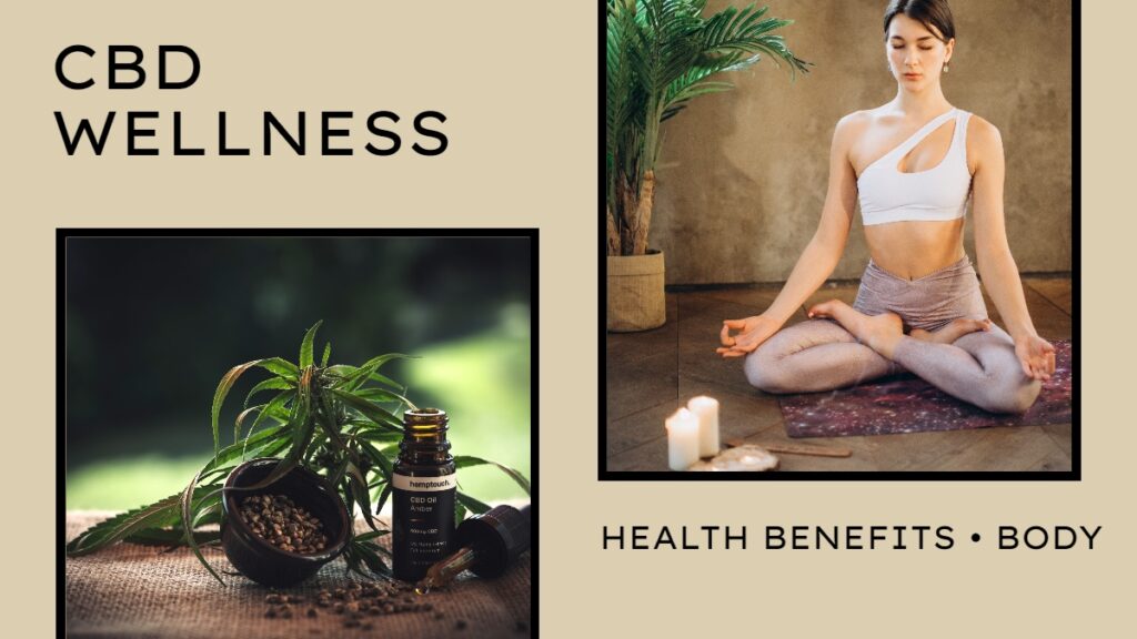 Incorporating CBD into Your Wellness Routine
