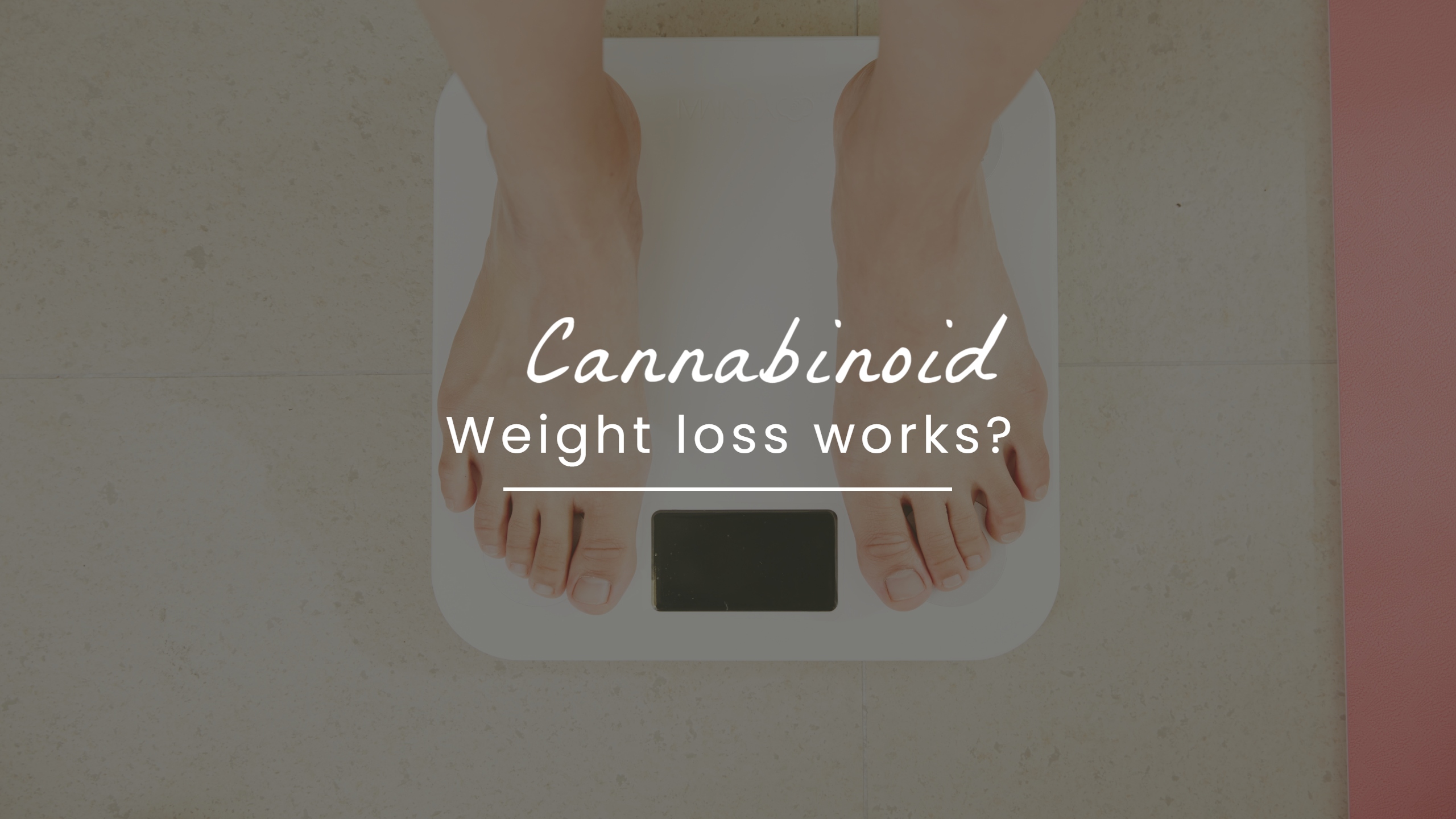 cannabinoid weight loss plan - standing on weigh machine