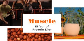 protein diet muscle