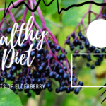Benefits of Elderberry - Healthy Diet