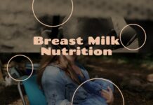 breast milk nutrition