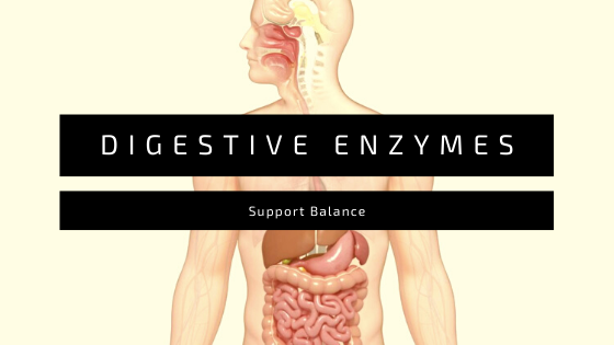 Supplement with Digestive Enzymes to Support Balance