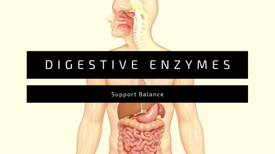 digestive enzymes