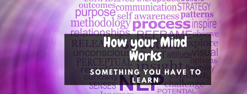 nlp mind works