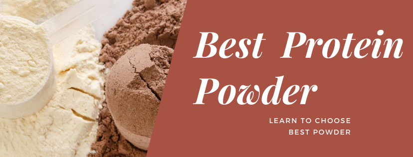 How to Choose the Best Protein Powder?