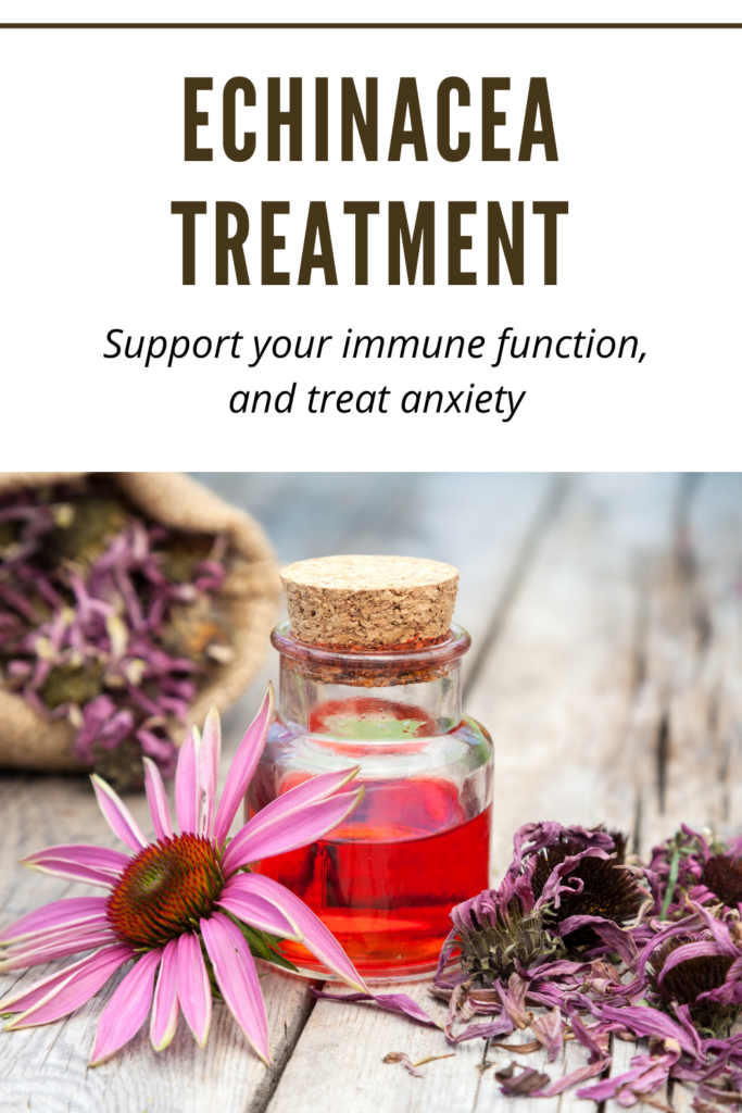Photo has Echinacea flower and oil - immune treat anxiety
