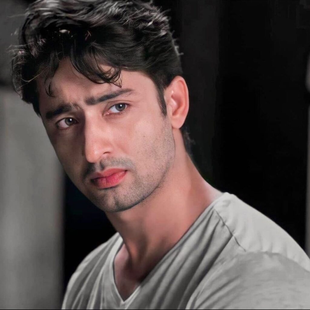 Shaheer Sheikh is giving a side pose - hottest television actor