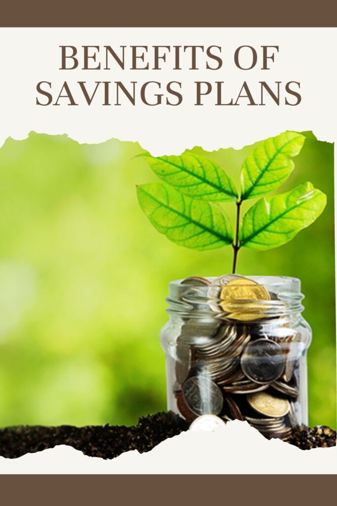 A tree is planted between the coins - best saving plans